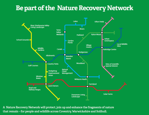 A Nature Recovery Network will protect, join up and enchance the graments of nature that remain (such as between Wildlife Gardens, Country Parks, Brandon Marsh, Lakes and Woodland etc) for people and wldelife across Coventry, Warwickshire and Solihiull 