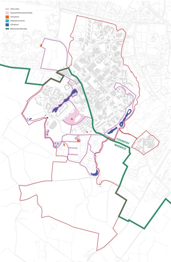 Plan of the campus showing the SPD boundary and identifying locations of Great Crested Newt presence and corridors, proposed habitat and proposed new ponds.