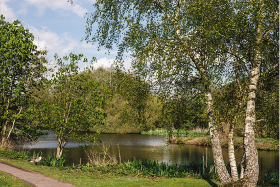 Photograph of a lake surrounded by woodland and paths