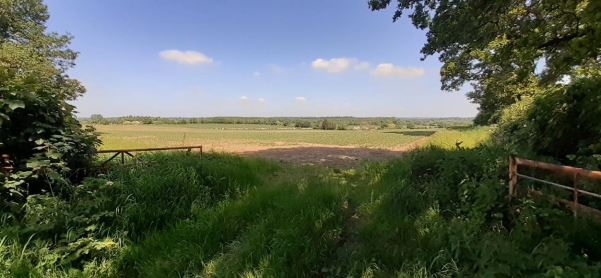 Views from Westhill Road towards Leicester Lane and Kenilworth Road