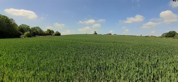 Views from Offchurch Lane, Public Footpaths towards Offchurch the River Leam and Newbold Comyn