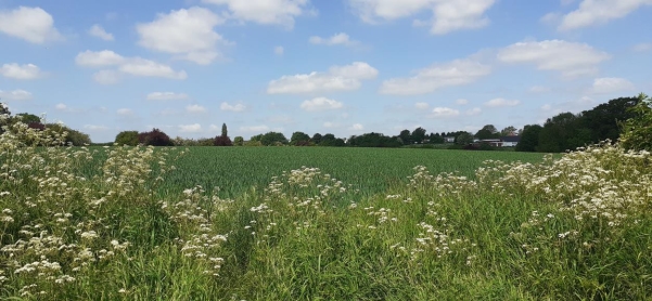 Views from Offchurch Lane, Public Footpaths towards Offchurch the River Leam and Newbold Comyn