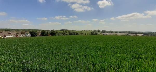 Views from Offchurch Lane, Public Footpaths towards Offchurch the River Leam and Newbold Comyn