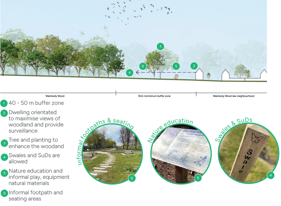 A landscape illustration with trees, labels indicate a 40-50 metre buffer zone, dwellings oriented for woodland views, trees planted to enhance woodland, Swales and SuDs permitted, and an educational area.