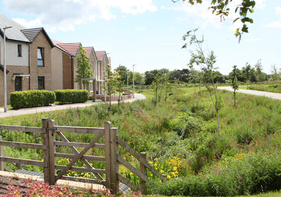 Precedent image showing how multi-functional green corridors can incorporate footpaths and swales as biodiversity features