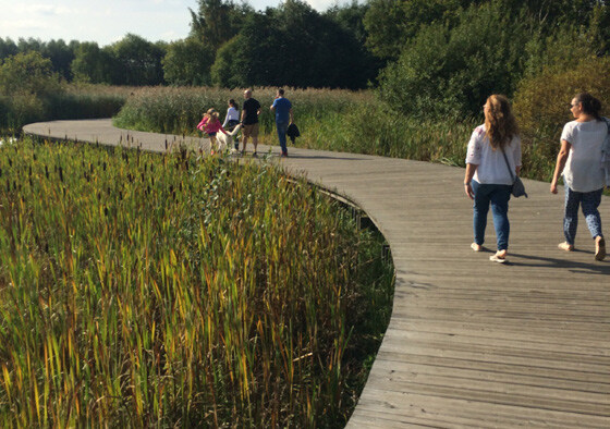 Precedent image showing how boardwalks can be created in wetland areas