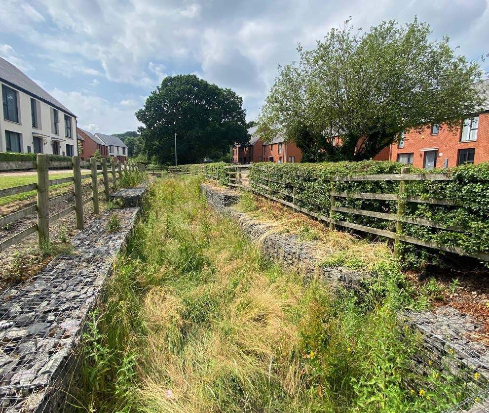 Precedent image showing swales integrated within green corridors