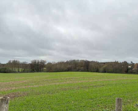 A photo of a view of agricultural fields from King’s Hill Lane (west view)