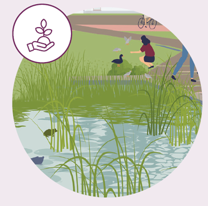 A person feeding ducks by a pond surrounded by tall grass, with a bicycle path in the background.