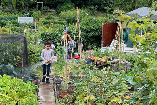 A child watering a vegetable patch in a community garden.
