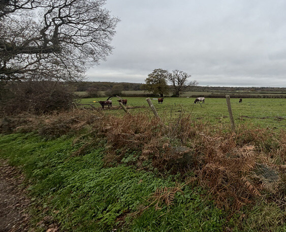 A photo of a view of agricultural fields from King’s Hill Lane (east view)