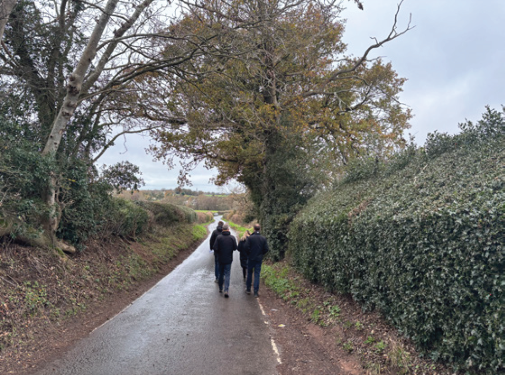A photo showing high mature hedges on King’s Hill Lane