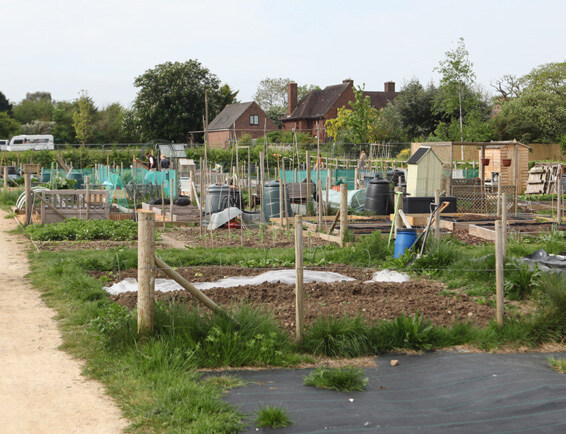 Precedent image showing allotments positioning at accessible locations