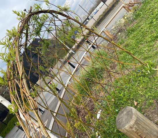 Precedent image showing natural structures likes wicker arches within public spaces