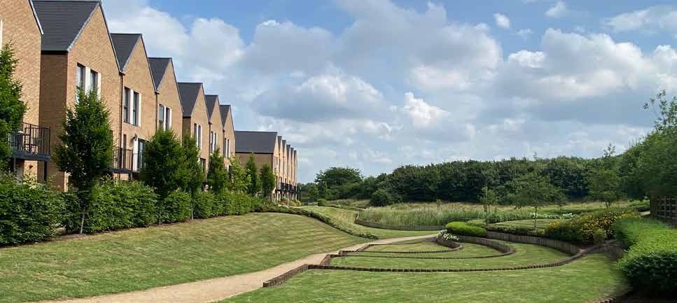 Precedent image showing how buildings and landscaping can be designed to respond to varying topography with banks, terracing and planting.